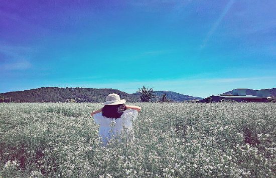 kinh nghiệm du lịch đà lạt phần 8