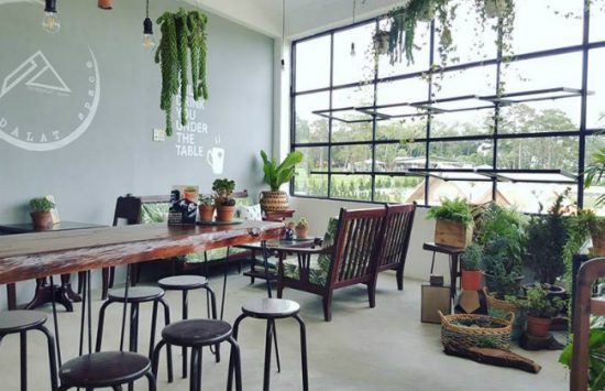 du lịch đà lạt đi từ hà nội