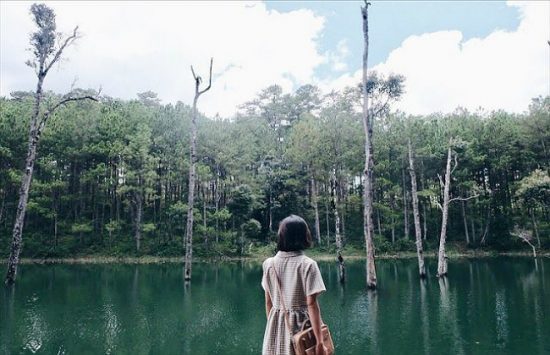 du lịch đà lạt dành cho 2 người