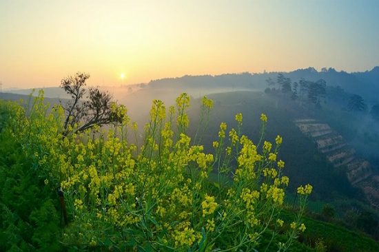 du lịch đà lạt mùa nào đẹp