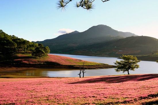 cẩm nang du lịch đà lạt tháng 12