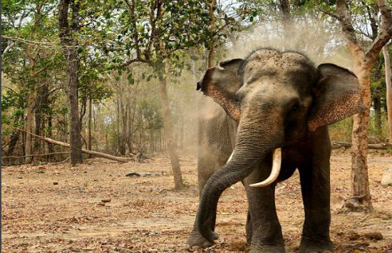 đi du lịch đắk lak vào thời gian nào