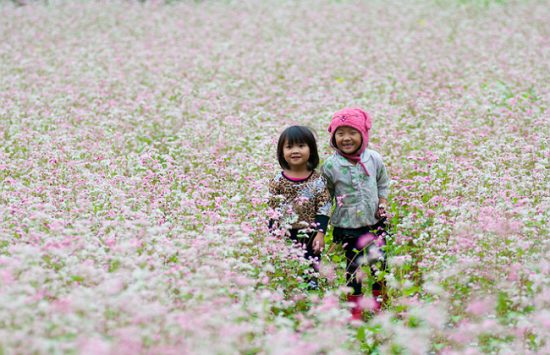 đi du lịch hà giang cuối năm
