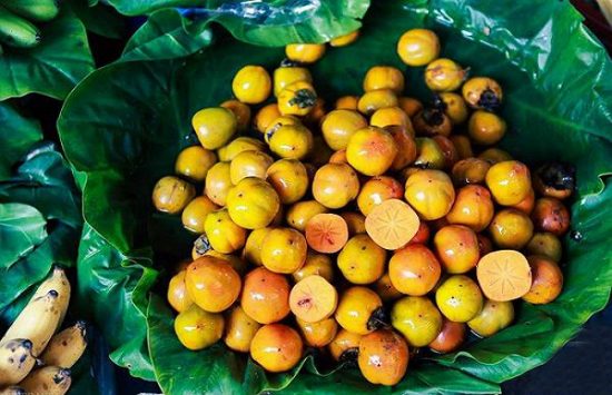 du lịch hà nội có đặc sản gì 