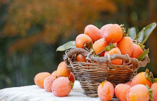 đi du lịch hà nội mùa nào đẹp