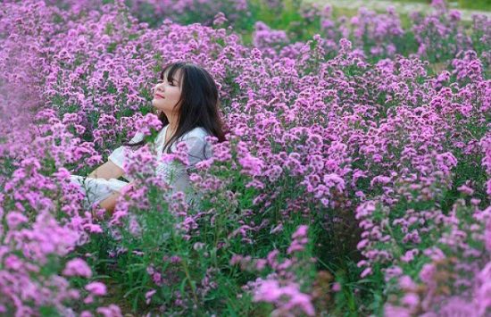 Đi du lịch Hà Nội giá rẻ