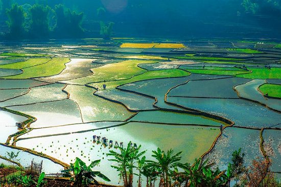 kinh nghiệm du lịch lai ch&acirc;u tự t&uacute;c