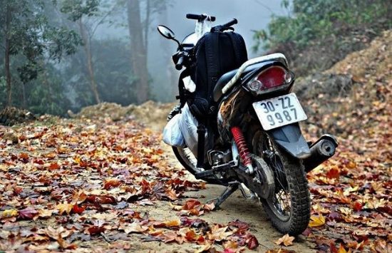 du lịch trong nước tháng 11