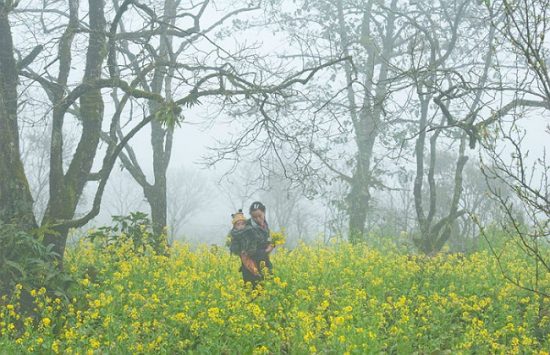 du lịch sapa ngắm tuyết rơi