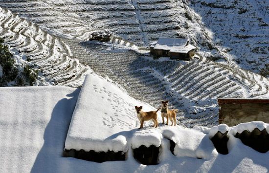 kinh nghiệm du lịch sapa mùa đông