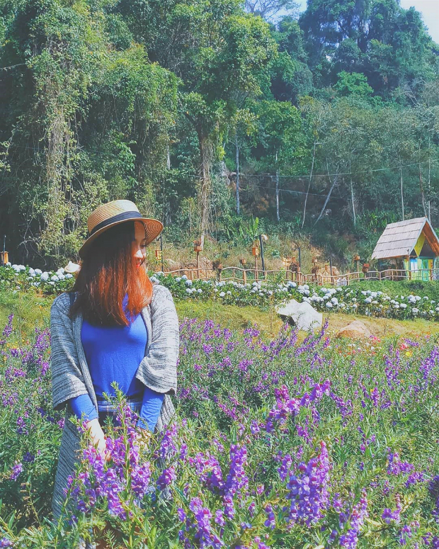 hoa sơn điền trang- du lịch đà lạt hoa sơn điền trang Đà Lạt