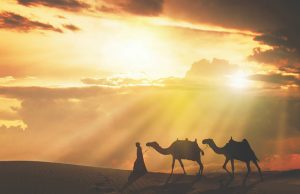 Tour du lịch Singapore – Dubai – Abu Dhabi dịp Tết (6N5Đ): Trải nghiệm thành phố xa hoa