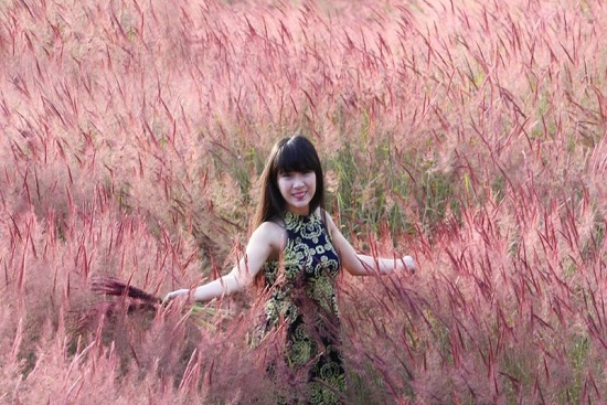 Vé máy bay giá rẻ đi Đà Lạt