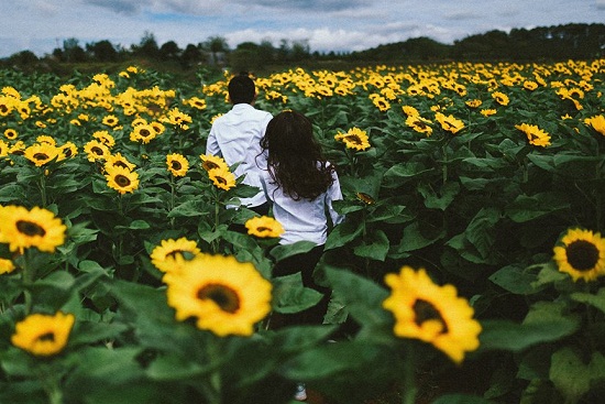 Vé máy bay đi Đà Lạt giá rẻ