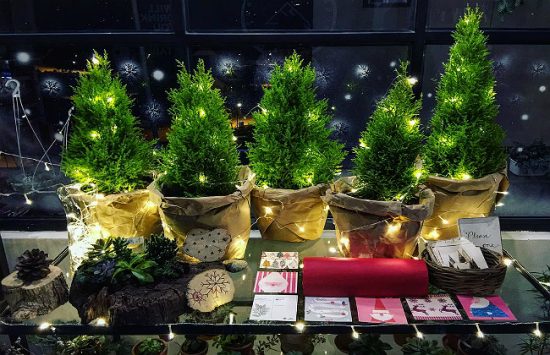 vé máy bay đi đà lạt bao nhiêu	