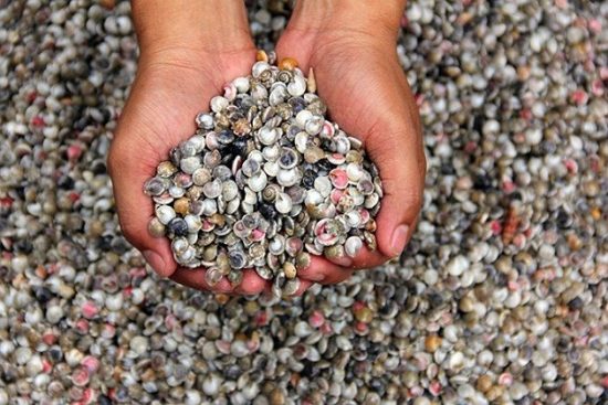 V&eacute; m&aacute;y bay gi&aacute; rẻ đi Đồng Hới