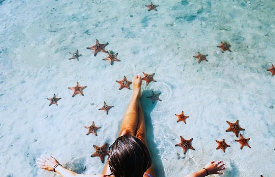 v&eacute; m&aacute;y bay từ h&agrave; nội đi ph&uacute; quốc		