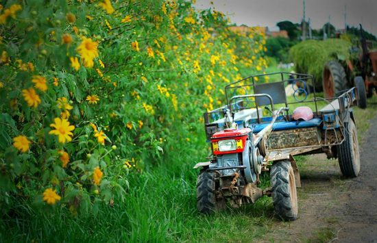 v&eacute; m&aacute;y bay từ tphcm đi gia lai	