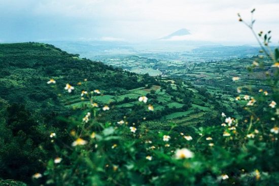 V&eacute; m&aacute;y bay đi Tuy H&ograve;a