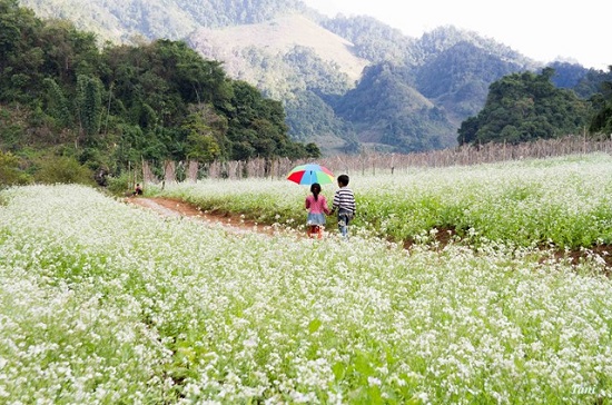 v&eacute; m&aacute;y bay gi&aacute; rẻ th&aacute;ng 12