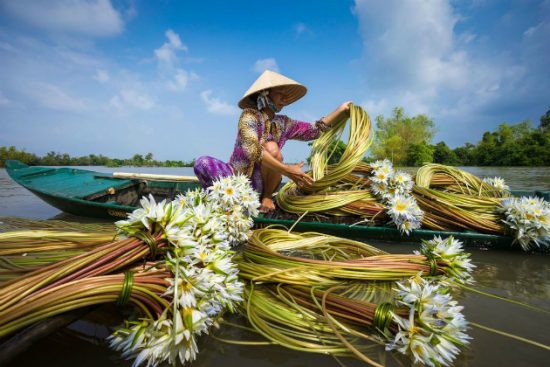 đặt vé máy bay giá rẻ đi cần thơ