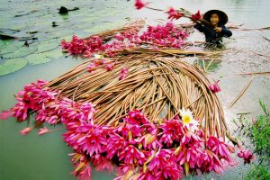 Đặt vé máy bay Vietjet Air đi Cần Thơ tại Vietnam Booking – Ưu đãi cực hời, vui chơi thả ga!