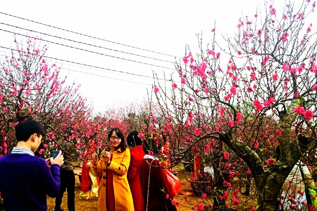Vé máy bay tết Sài Gòn đi Vinh giá rẻ