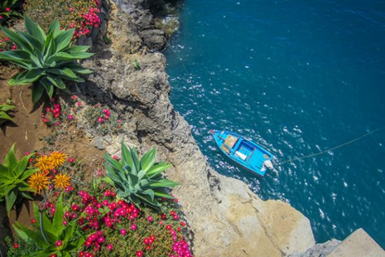 visa đi bồ đ&agrave;o nha thăm th&acirc;n