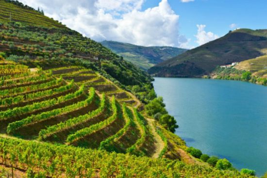 dịch vụ l&agrave;m visa đi bồ đ&agrave;o nha thăm th&acirc;n