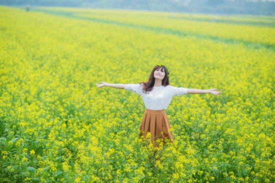 V&eacute; m&aacute;y bay đi h&agrave; nội gi&aacute; rẻ