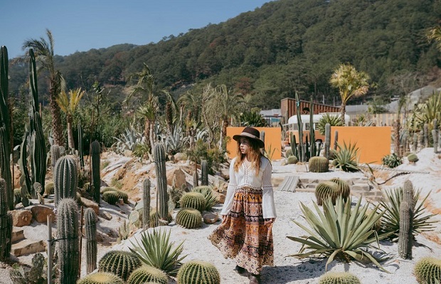 Tour Đà Lạt 30/4 4N3Đ | Kombi Land – Đà Lạt View Coffee – Fairy Tale Land – Langbiang