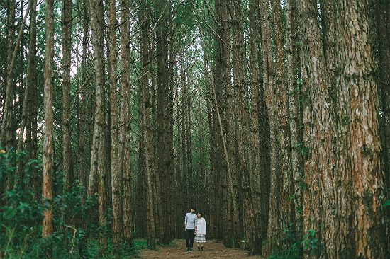 du lịch đà lạt mùa đông nên ăn gì