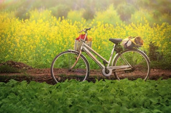 địa điểm du lịch hà nội mùa đông