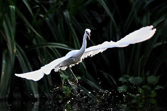 đi du lịch hải dương ở đâu