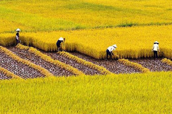 kinh nghiệm đi du lịch hậu giang