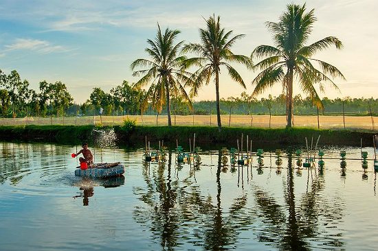 đặc sản du lịch hậu giang