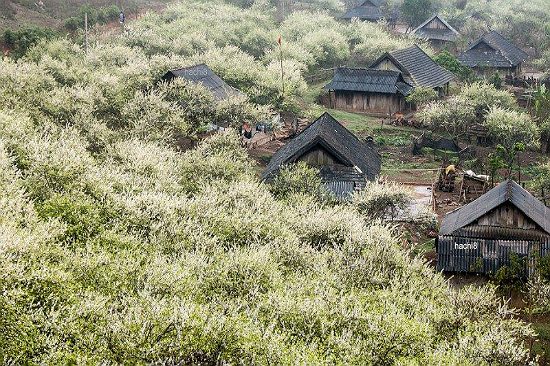 đi du lịch hòa bình tự túc giá rẻ