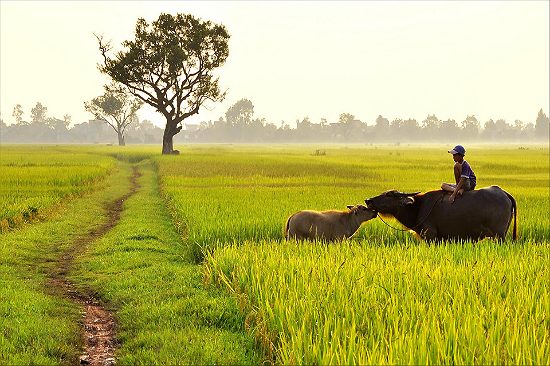 kinh nghiệm đi du lịch hưng yên