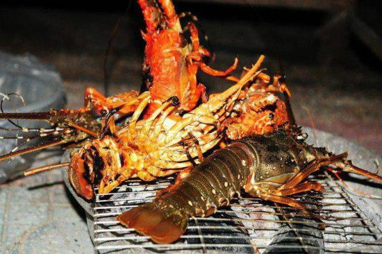 du lịch nha trang có gì hấp dẫn