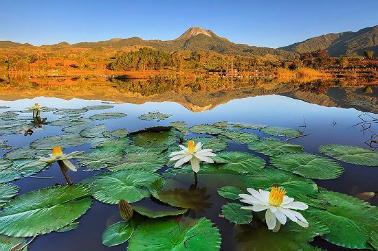 du lịch davao philippines giá rẻ