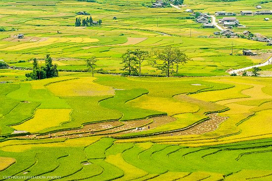 đi du lịch tây bắc giá rẻ