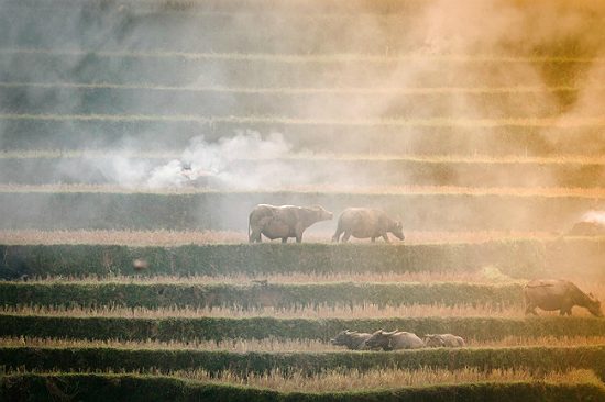 đi du lịch tây bắc từ hà nội