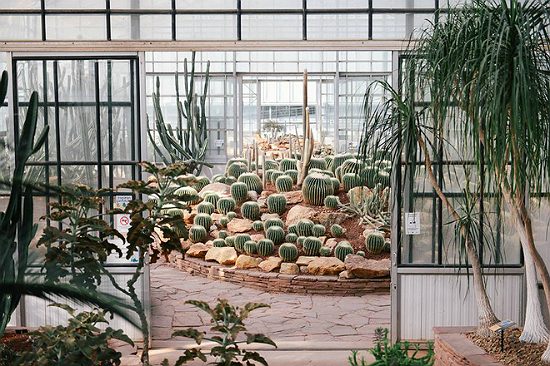 du lịch chiang mai thái lan