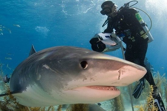 có nên đi du lịch thái lan không