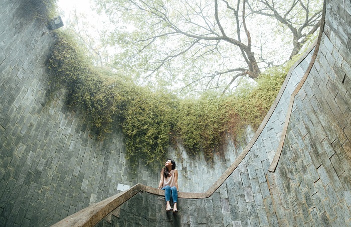 Xin visa để thỏa thích khám phá Singapore visa singapore