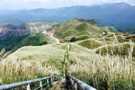 đặt vé máy bay đi hải phòng giá rẻ