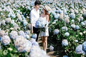 Trải nghiệm Đông Đà Lạt với vé máy bay giá rẻ chỉ từ 49.000 VNĐ