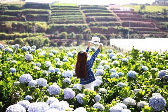 đặt vé máy bay đi du lịch đà lạt