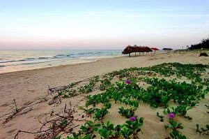 Đặt vé máy bay giá rẻ đi Đồng Hới các tháng 12, 1 &2