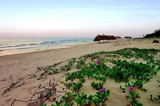 v&eacute; m&aacute;y bay đi đồng hới